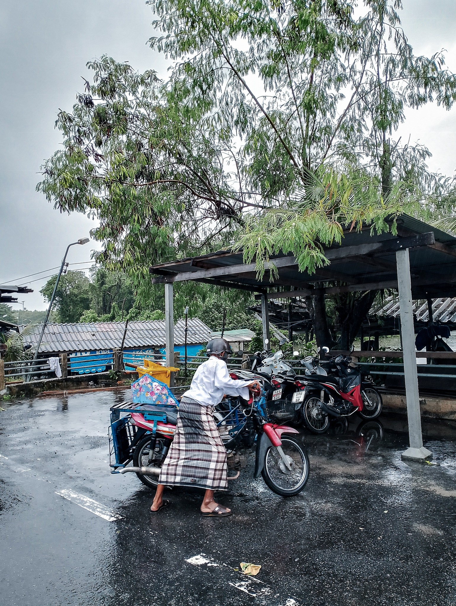 ลงพื้นที่ตรวจสอบสถานการณ์ต้นไม้ล้มภายในเขตพื้นที่บางปู ม.3